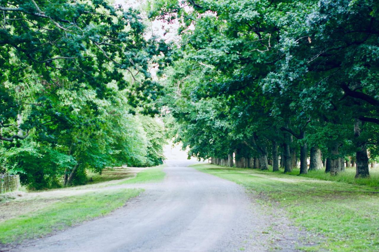 Wallingford Homestead Bagian luar foto