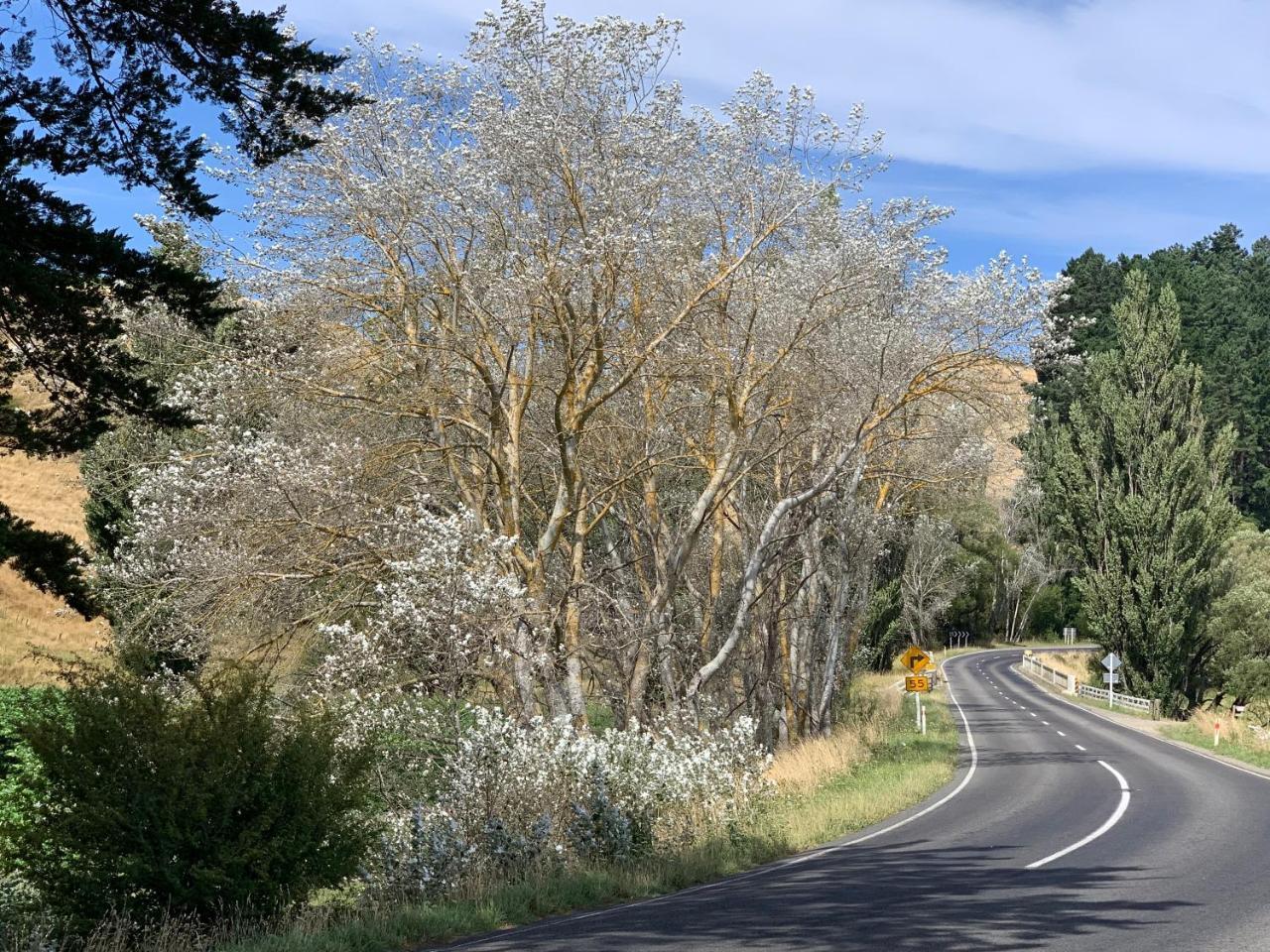 Wallingford Homestead Bagian luar foto