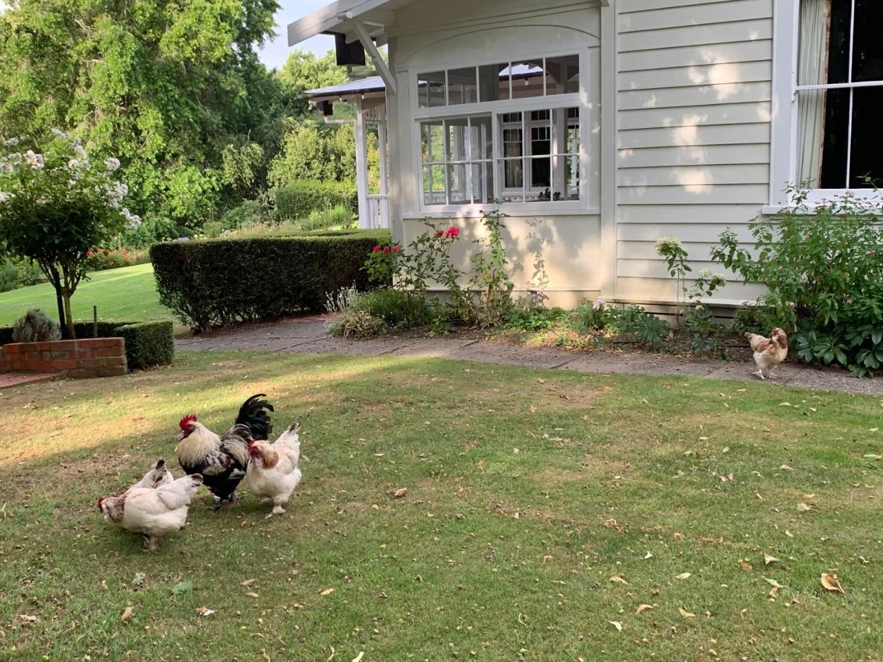 Wallingford Homestead Bagian luar foto
