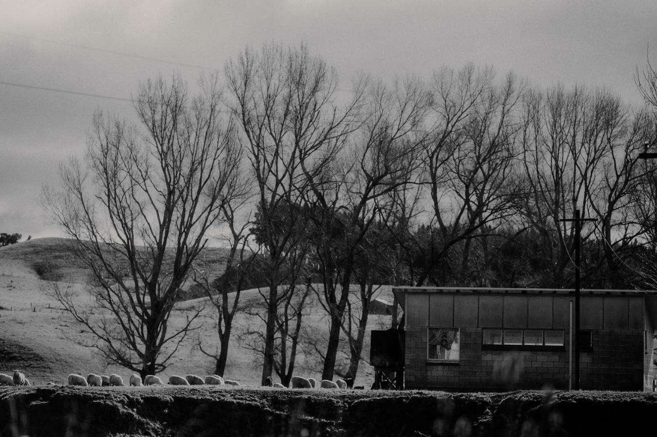 Wallingford Homestead Bagian luar foto