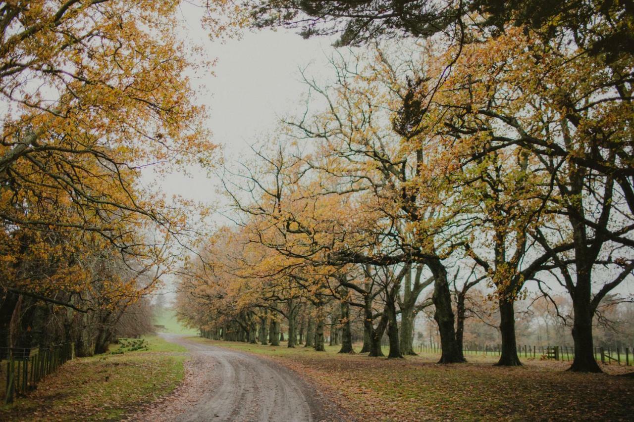 Wallingford Homestead Bagian luar foto